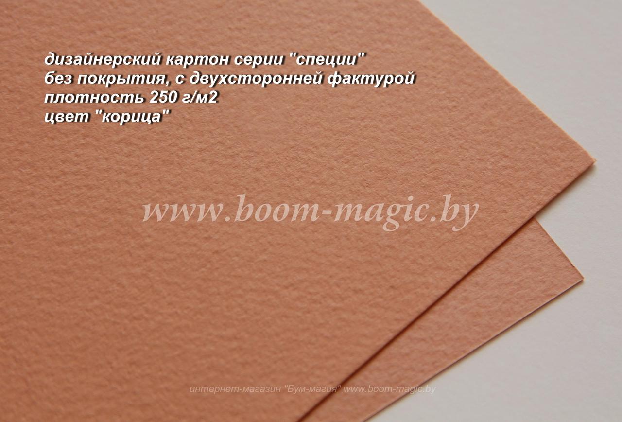 22-010 картон фактурный, серия "специи", цвет "корица", плотность 250 г/м2, формат А4
