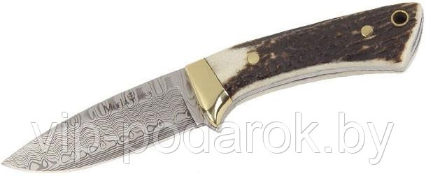 Нож " Колибри " - фото 1 - id-p19013076