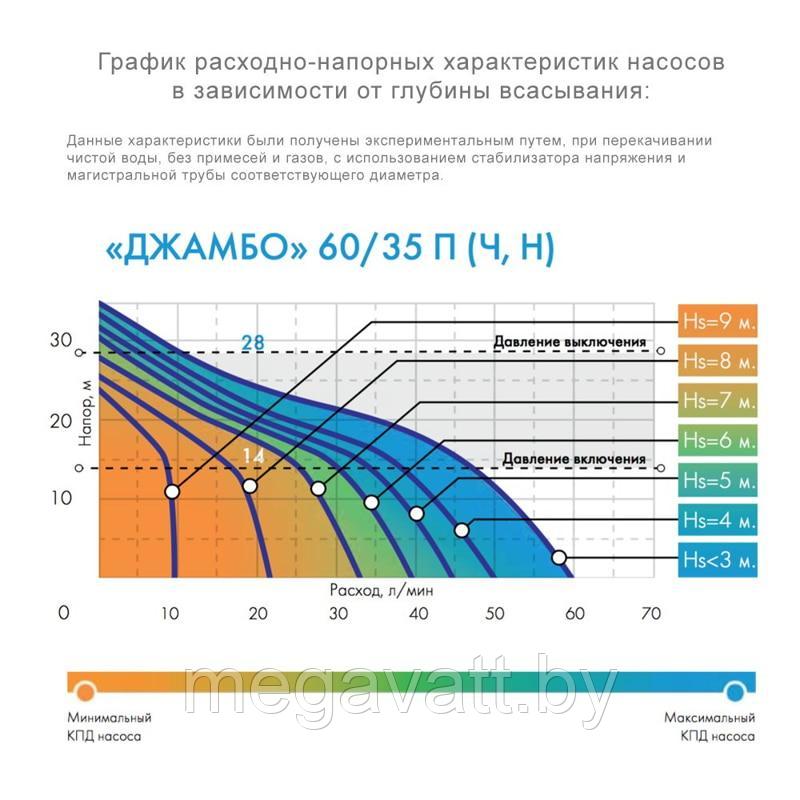 Насосная станция ДЖИЛЕКС ДЖАМБО 60/35 П-24 - фото 2 - id-p170333388