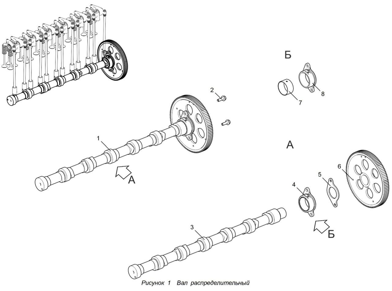 Вал распределительный ЯМЗ-536 арт. 536.1006010 - фото 3 - id-p19028040