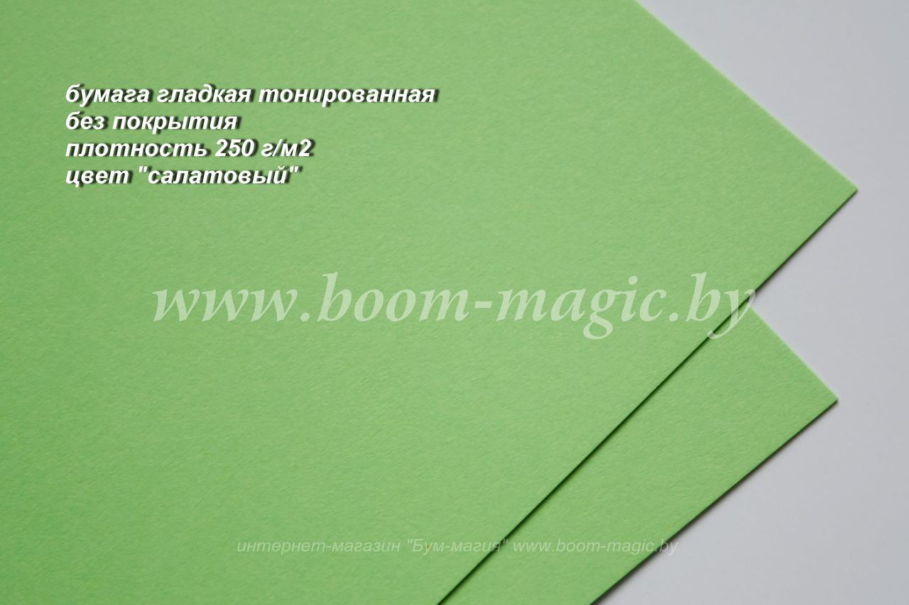 32-014 бумага гладкая без покрытия, цвет "салатовый", плотность 250 г/м2, формат А4