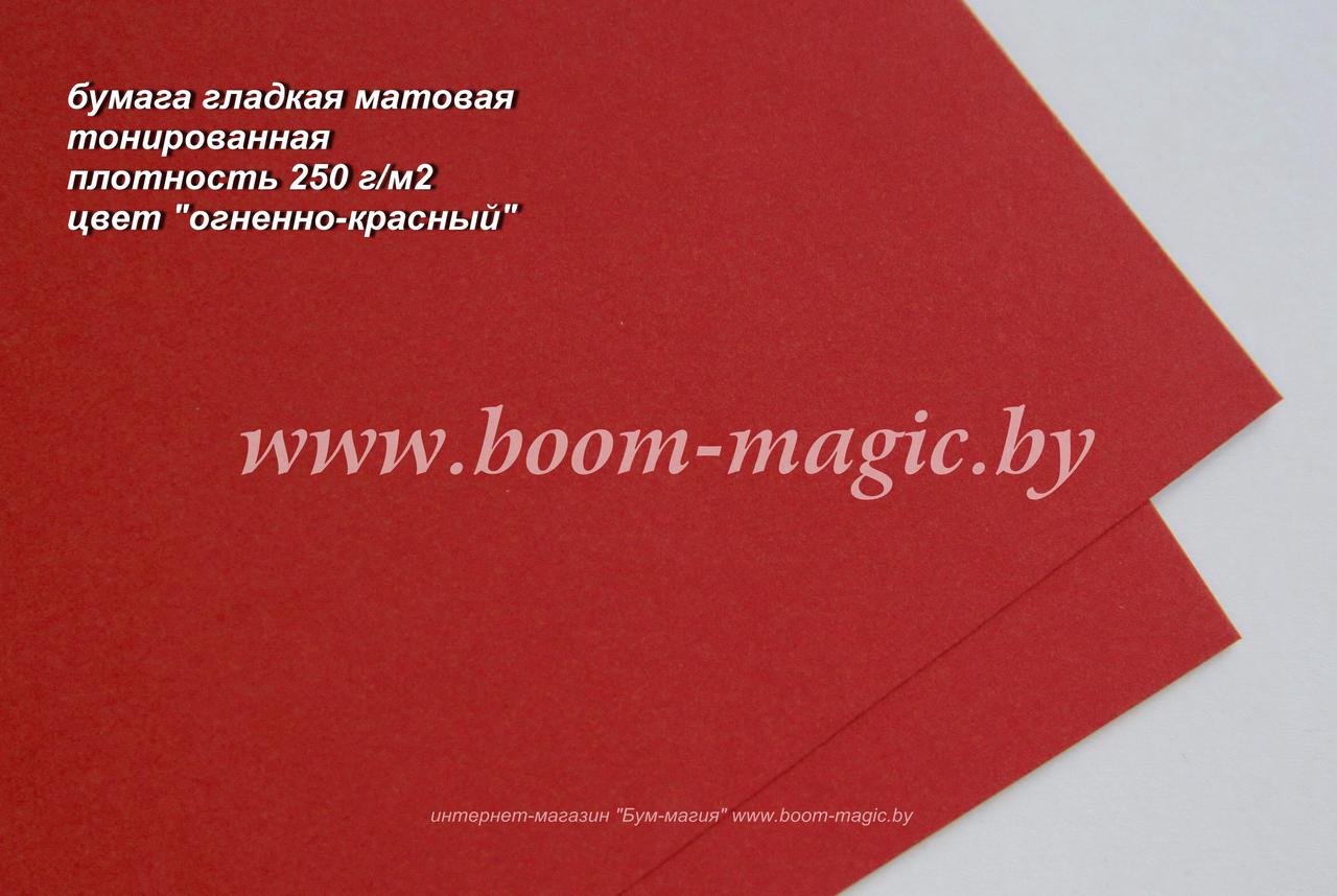 32-031 бумага гладкая без покрытия, цвет "огненно-красный", плотность 250 г/м2, формат А4