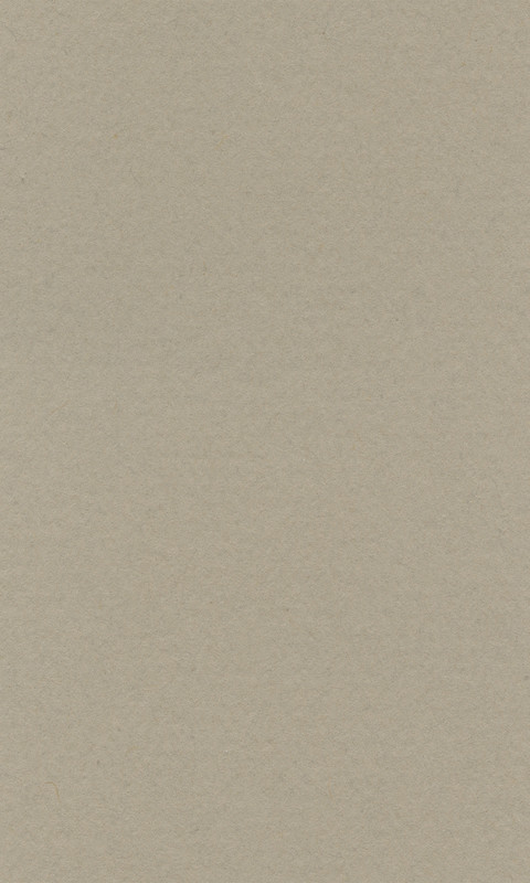 Бумага для пастели LanaColours, pearl, 160 г/м, лист, 50 x 65 см