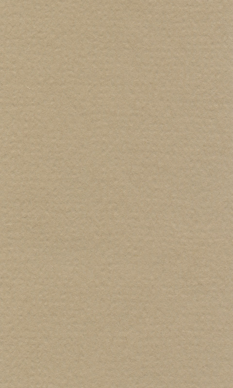 Бумага для пастели LanaColours, oyster, 160 г/м, лист, 50 x 65 см