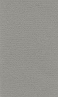 Бумага для пастели LanaColours, cool grey, 160 г/м, лист, 50 x 65 см