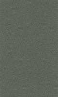 Бумага для пастели LanaColours, ivy, 160 г/м, лист, 50 x 65 см