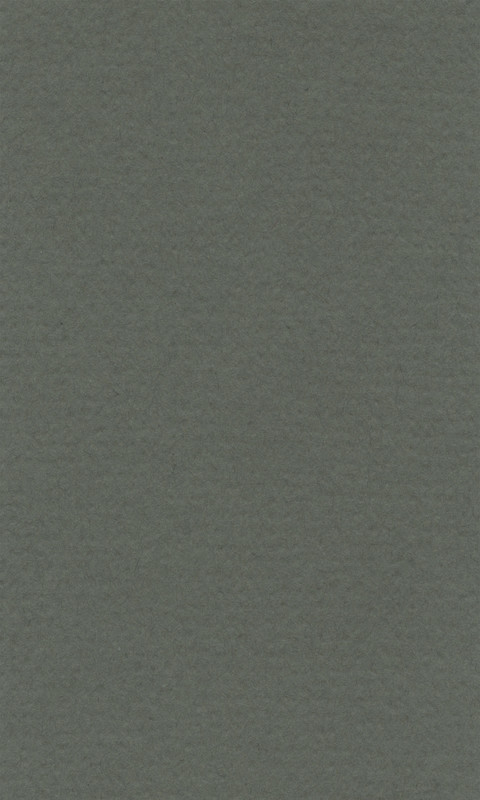 Бумага для пастели LanaColours, ivy, 160 г/м, лист, 50 x 65 см - фото 1 - id-p170400068