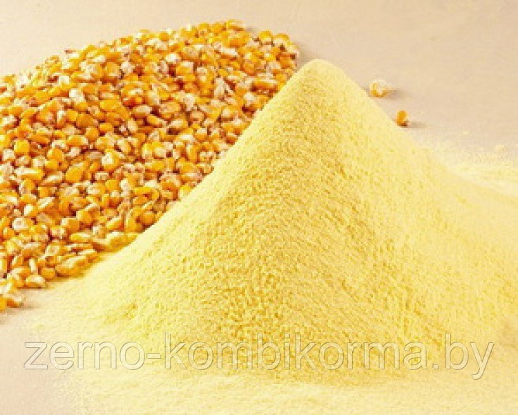 Кукуруза молотая (30 кг)