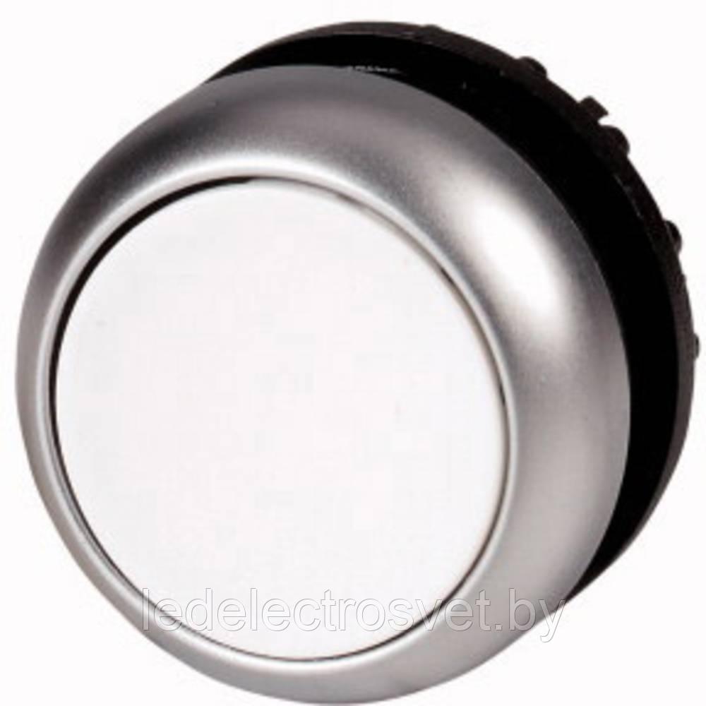 Кнопка белая с подсветкой Titan M22-DL-W, IP67 - фото 1 - id-p170303196
