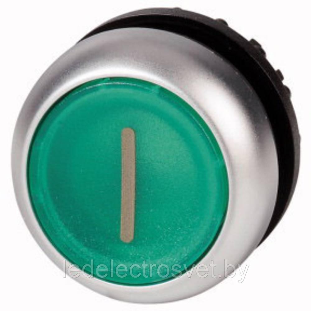 Кнопка зеленая с подсветкой Titan M22-DL-G-X1,надпись 1, IP67 - фото 1 - id-p170303201