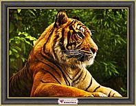 Картина стразами "Золотой тигр"