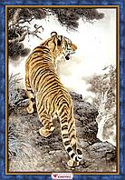 Картина стразами "Тигр на скале"