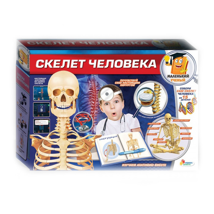 Игровой набор Опыты: Скелет человека, TXL-117-R - фото 1 - id-p170429161