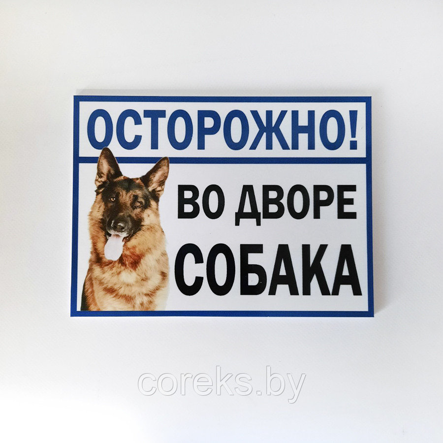 Табличка "Осторожно во дворе собака" №12 (23*17 см) - фото 1 - id-p170482496