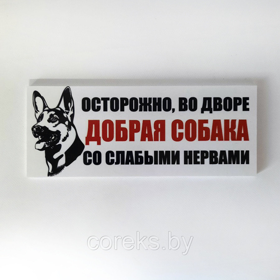Табличка "Осторожно во дворе собака" №13 (23*11 см) - фото 1 - id-p170482555