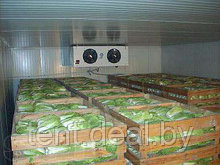 Холодильные камеры для овощей