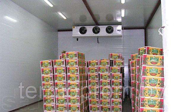 Холодильные камеры для фруктов - фото 10 - id-p170484482