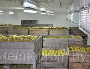 Холодильные камеры для экзотических фруктов - фото 2 - id-p170484483
