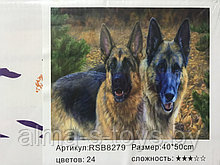 Рисование по номерам 50*40 друзья