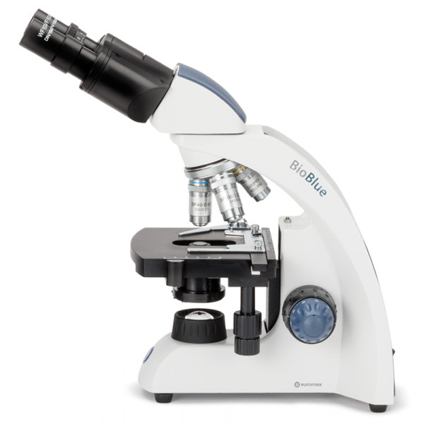 Учебные микроскопы Euromex серии BioBlue - фото 3 - id-p170544208