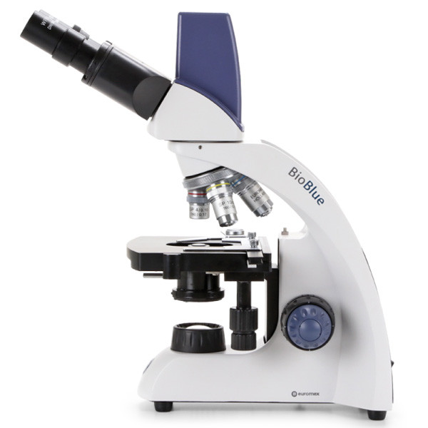 Цифровые микроскопы Euromex серии BioBlue Digital - фото 2 - id-p170544210