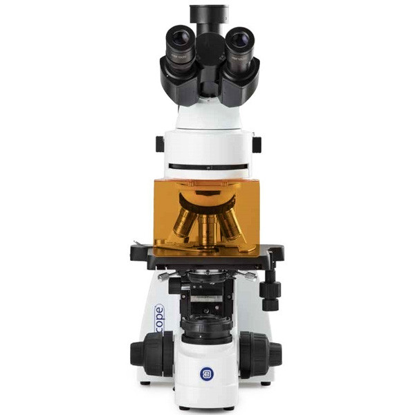 Лабораторные флуоресцентные микроскопы Euromex серии bScope fluorescence - фото 2 - id-p170544216