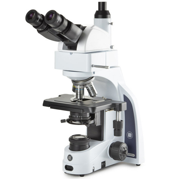 Лабораторные микроскопы Euromex серии iScope эргономичные - фото 1 - id-p170544222