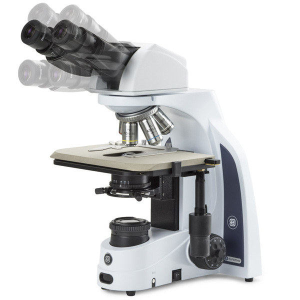 Лабораторные микроскопы Euromex серии iScope эргономичные - фото 3 - id-p170544222