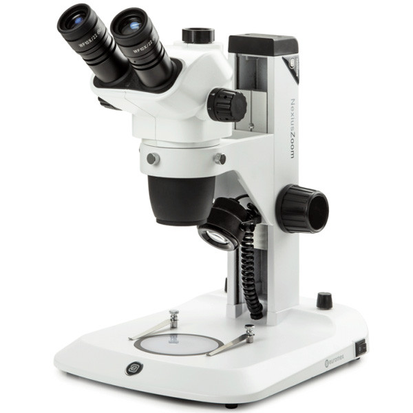 Учебные и лабораторные стереомикроскопы Euromex серии NexiusZoom (EVO) - фото 1 - id-p170544229