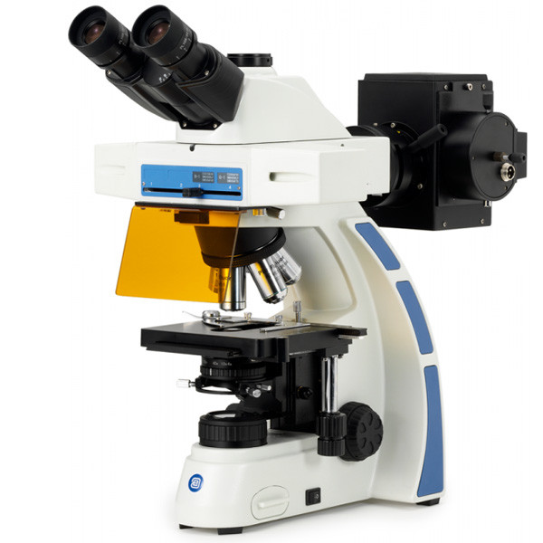 Флуоресцентные микроскопы Euromex серии Oxion fluorescence - фото 1 - id-p170544232