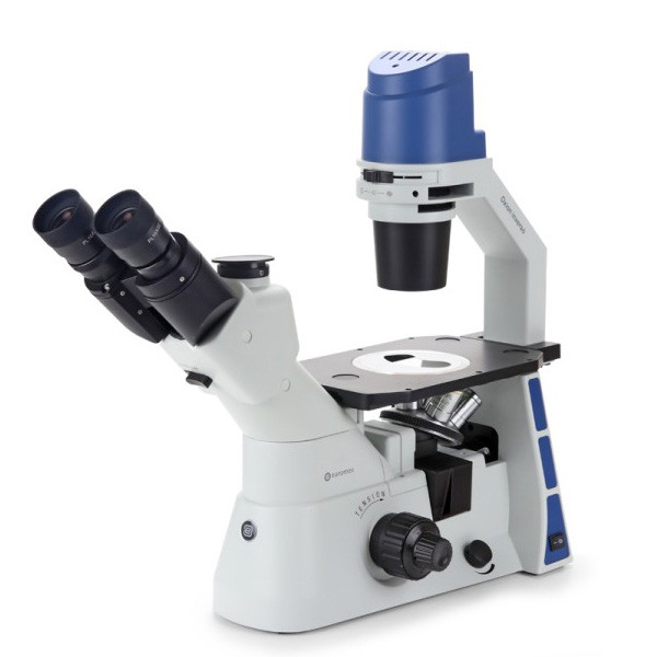 Инвертированный микроскоп Euromex серии Oxion Inverso - фото 1 - id-p170544234