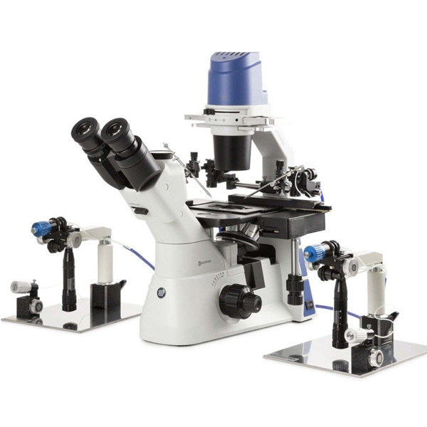 Инвертированный микроскоп Euromex серии Oxion Inverso - фото 3 - id-p170544234