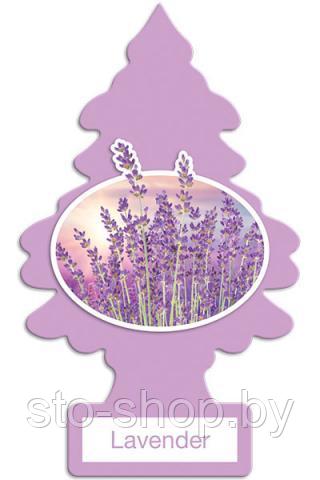 Ароматизатор для салона авто подвесной Лаванда Little Trees Air Freshener Lavender (Швейцария) - фото 2 - id-p170547234