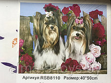 Рисование по номерам 50*40 Йорки