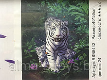 Рисование по номерам 50*40 белый тигр