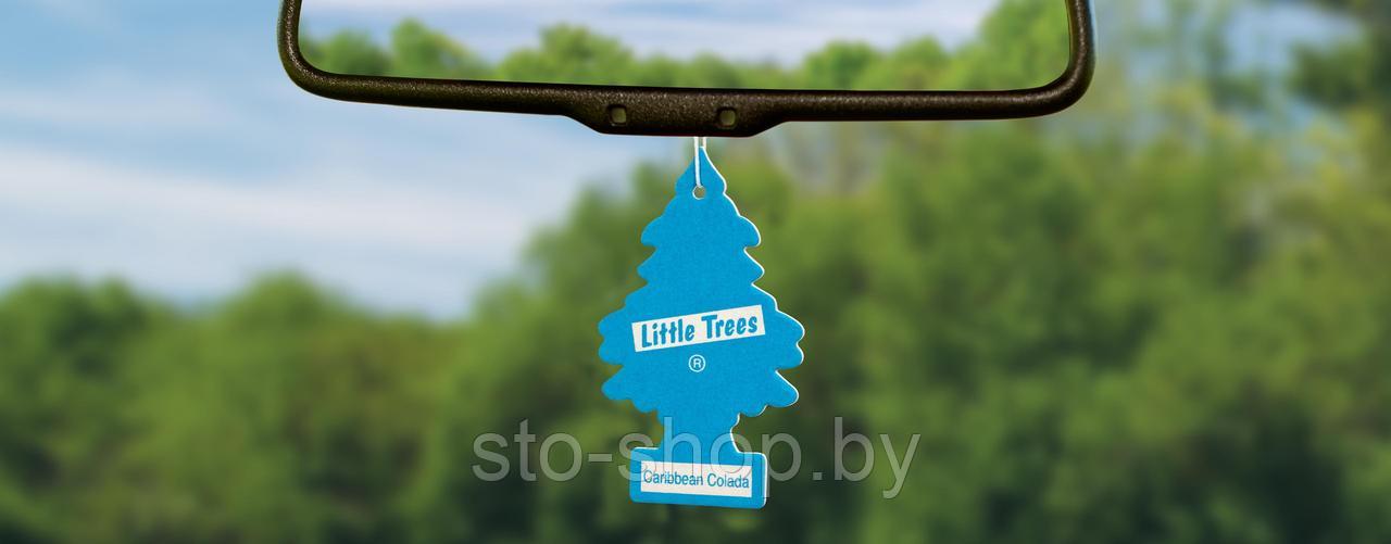 Ароматизатор для салона авто подвесной Кофе Little Trees Air Freshener Cafe (Швейцария) - фото 2 - id-p170496536