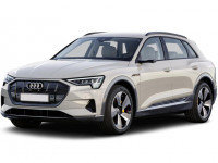 Audi e-tron автомобильные коврики в салон и багажник