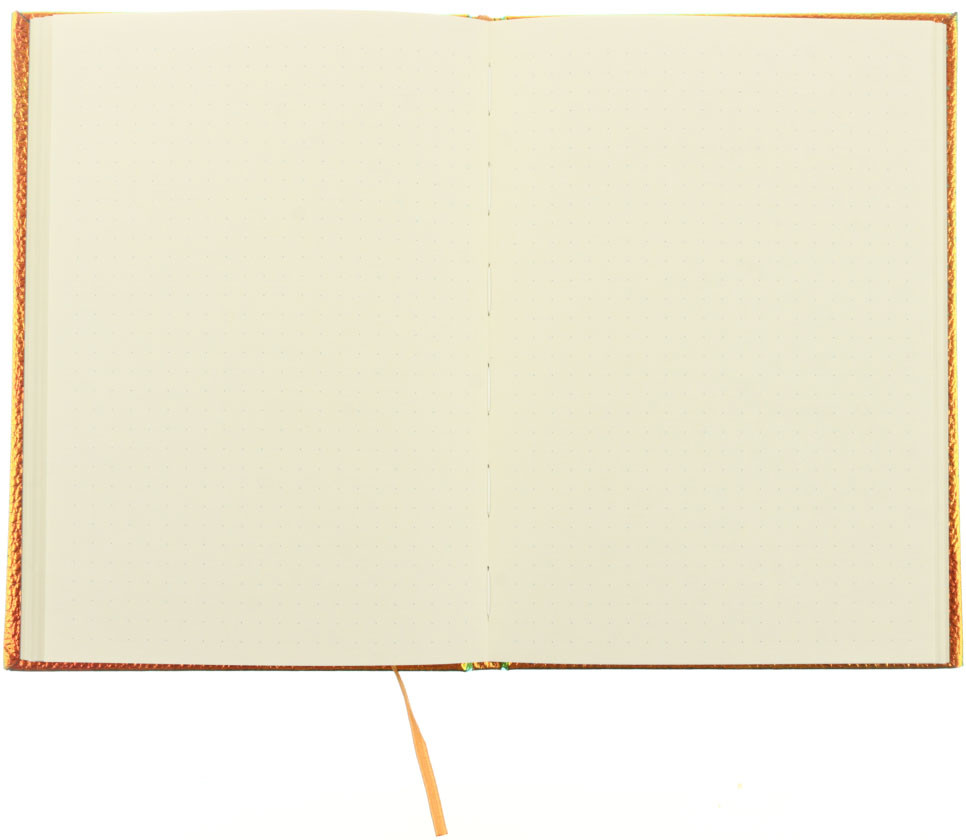 Книжка записная Lorex Iridescent 145*205 мм, 96 л., оранжевая - фото 2 - id-p170561150