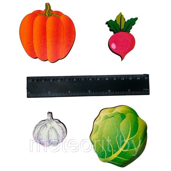 Овощи на магнитах - набор в коробке - фото 2 - id-p170584043