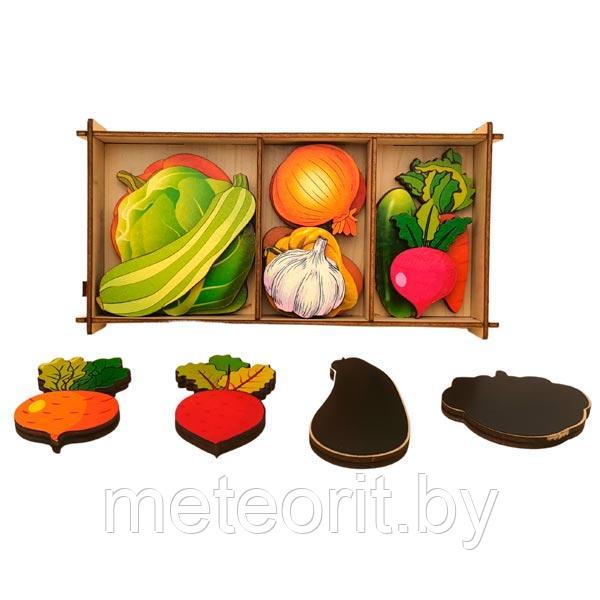 Овощи на магнитах - набор в коробке - фото 3 - id-p170584043