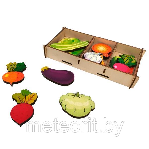 Овощи на магнитах - набор в коробке - фото 1 - id-p170584043