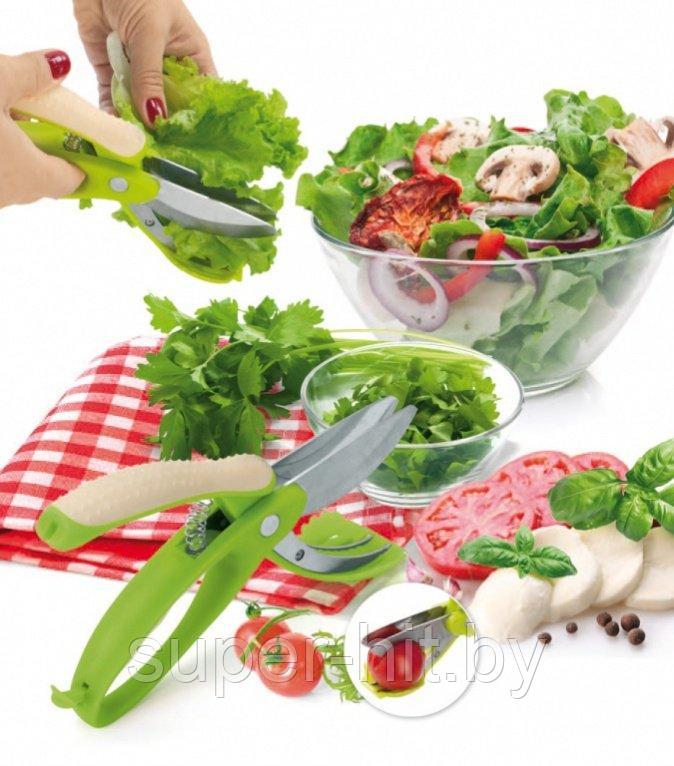 Ножницы для овощей, фруктов и салата «АЛЛИГАТОР» - фото 1 - id-p93055530
