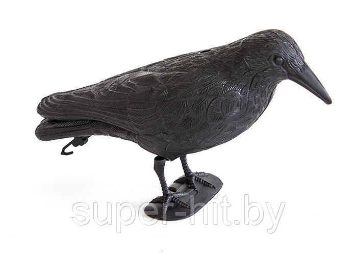 Пластиковый ворон отпугиватель птиц SiPL - фото 2 - id-p93055880