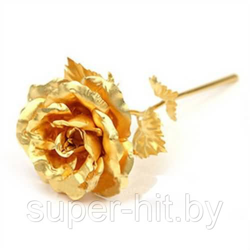 Золотая Роза Golden Rose 24 Kарат - фото 5 - id-p93051043