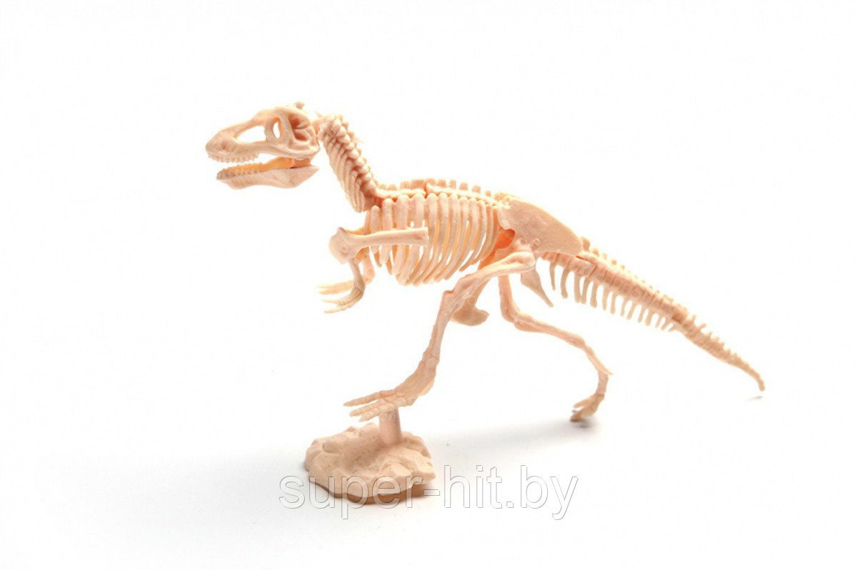 Набор для раскопок ЮНЫЙ АРХЕОЛОГ тиранозавр - фото 4 - id-p96954873