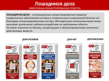 Лошадиная доза бальзам-реноватор для тела в области суставов "Защитник" 125 мл, фото 3