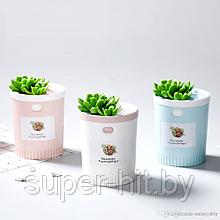 Ультразвуковой увлажнитель воздуха Humidifier Succulent