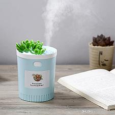 Ультразвуковой увлажнитель воздуха Humidifier Succulent, фото 3