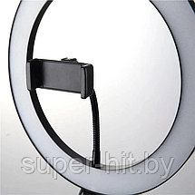 Кольцевая светодиодная лампа LED Ring Fill Light, фото 2