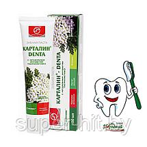 Зубная паста «КАРТАЛИН-DENTA» с натуральным экстрактом шиповника, фото 2